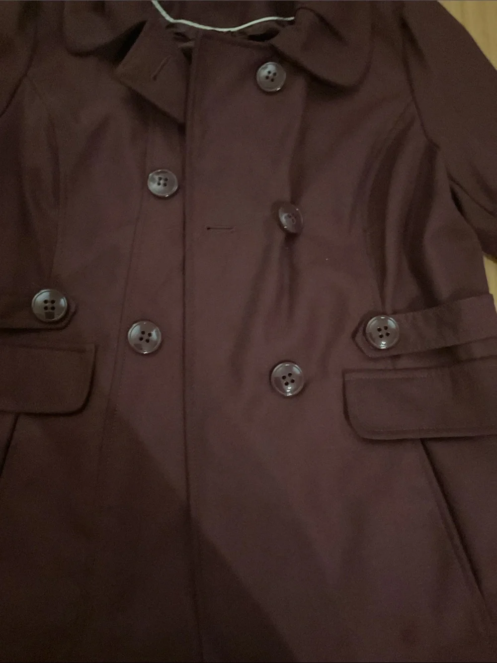 Celebrity Pink Hooded Double-Breasted Maroon Raincoat